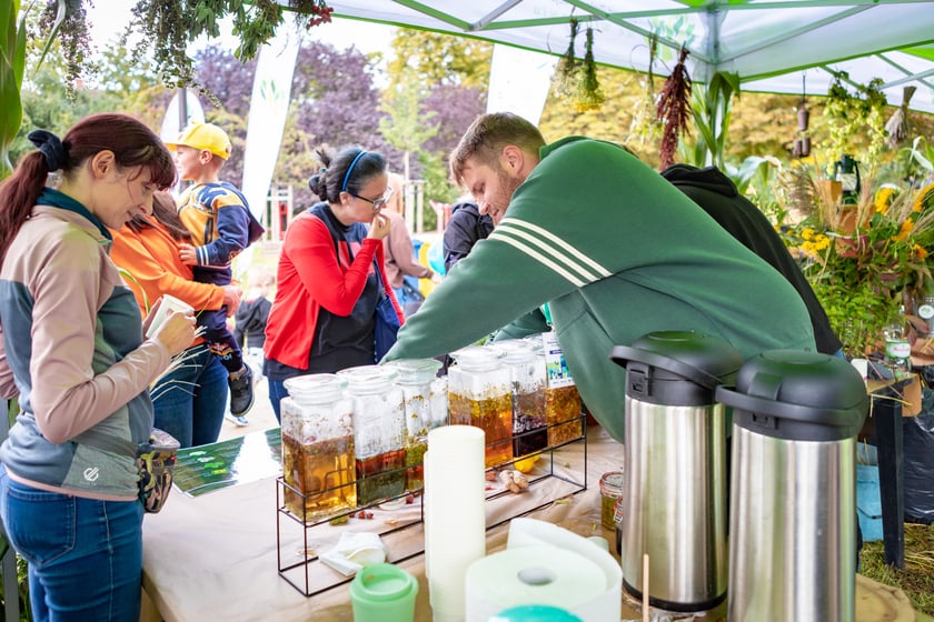 Sobota z Zielonym Wrocławiem 6 września w parku Staszica