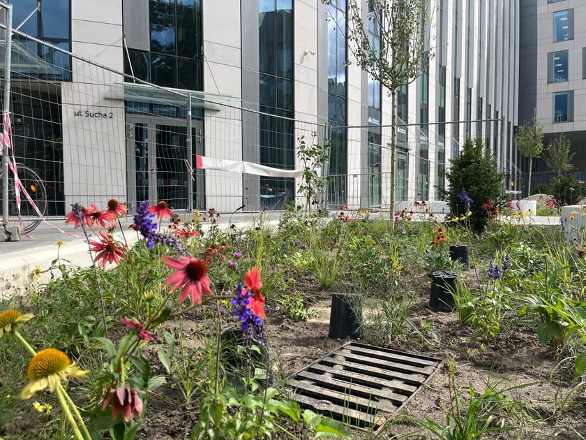 Tworzenie skweru przy ul. Suchej