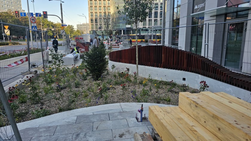 Tworzenie skweru przy ul. Suchej