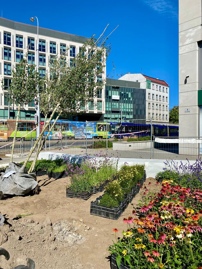 Tworzenie skweru przy ul. Suchej