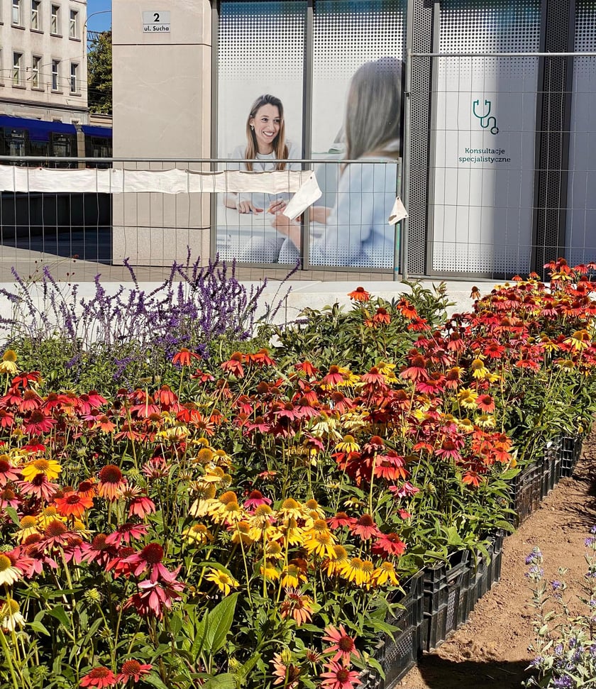 Tworzenie skweru przy ul. Suchej