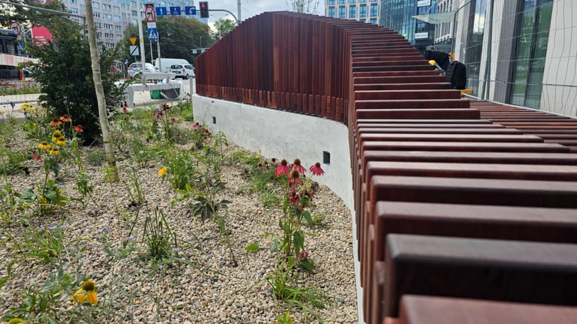 Tworzenie skweru przy ul. Suchej