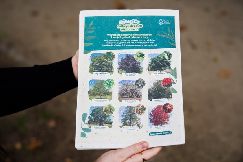 Międzypokoleniowy piknik ekologiczny w Ogrodzie Staromiejskim we Wrocławiu