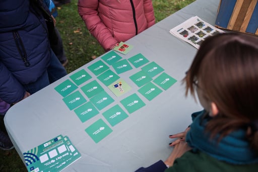 Międzypokoleniowy piknik ekologiczny w Ogrodzie Staromiejskim we Wrocławiu