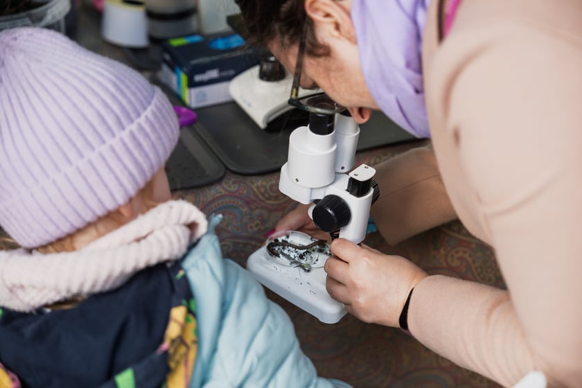 Międzypokoleniowy piknik ekologiczny w Ogrodzie Staromiejskim we Wrocławiu