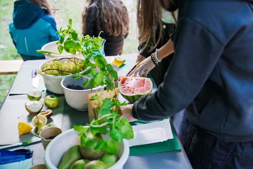 Międzypokoleniowy piknik ekologiczny w Ogrodzie Staromiejskim we Wrocławiu