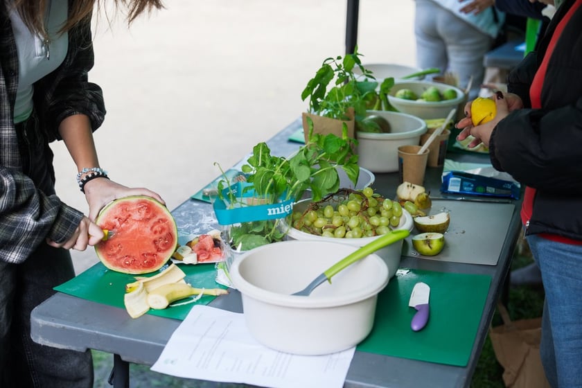 Międzypokoleniowy piknik ekologiczny w Ogrodzie Staromiejskim we Wrocławiu