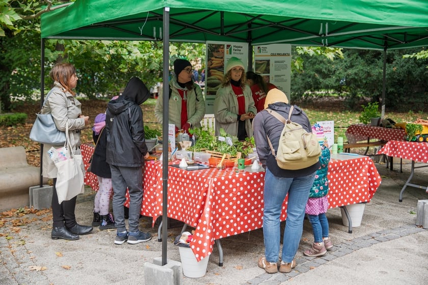 Międzypokoleniowy piknik ekologiczny w Ogrodzie Staromiejskim we Wrocławiu