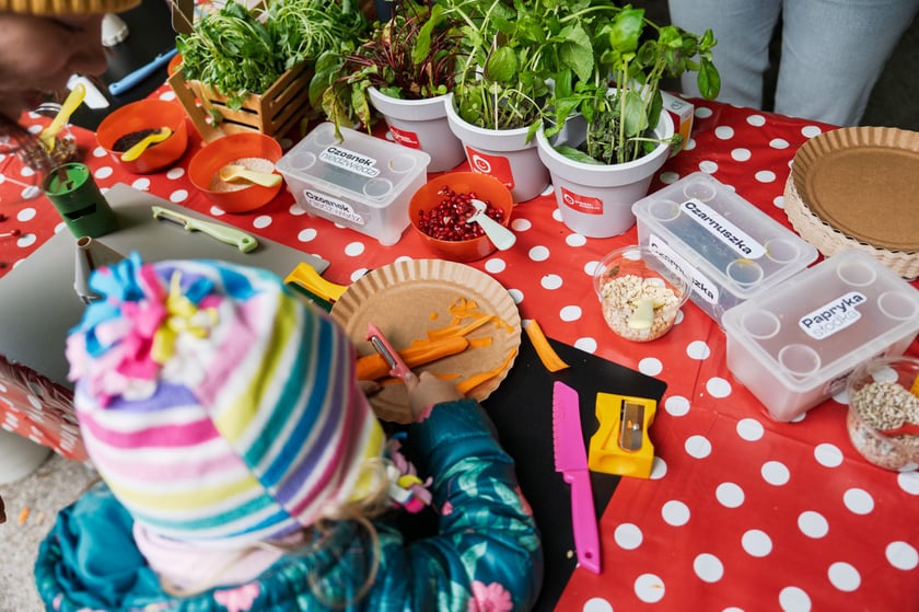 Międzypokoleniowy piknik ekologiczny w Ogrodzie Staromiejskim we Wrocławiu