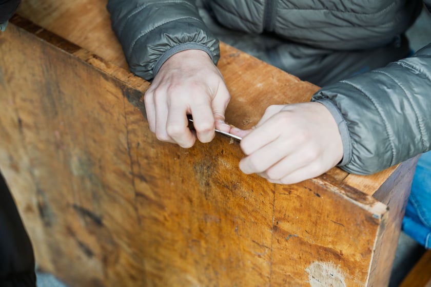 Międzypokoleniowy piknik ekologiczny w Ogrodzie Staromiejskim we Wrocławiu