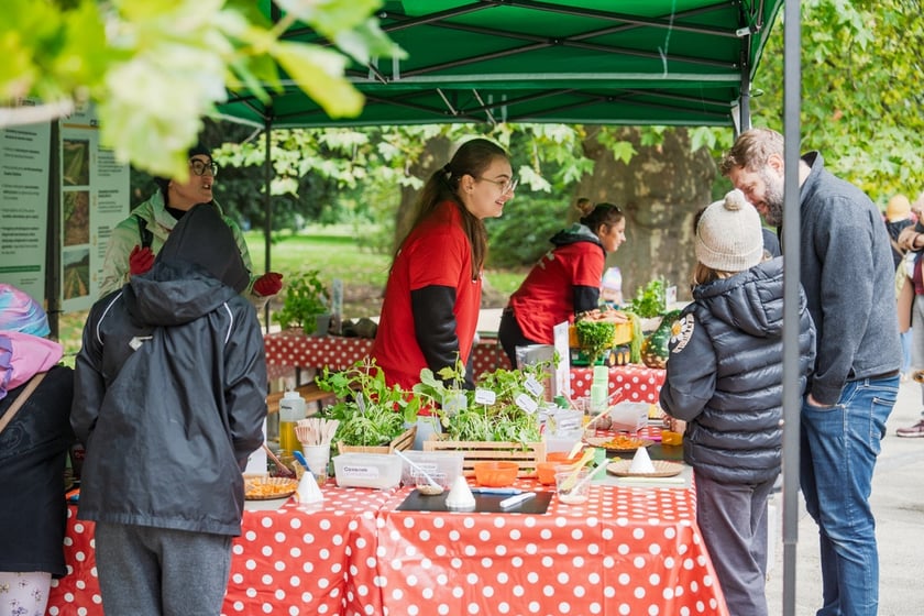 Międzypokoleniowy piknik ekologiczny w Ogrodzie Staromiejskim we Wrocławiu