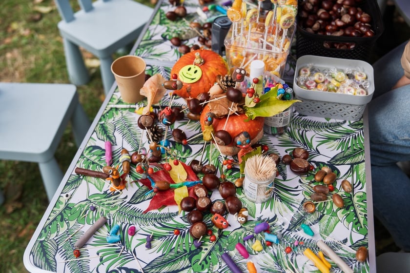 Międzypokoleniowy piknik ekologiczny w Ogrodzie Staromiejskim we Wrocławiu