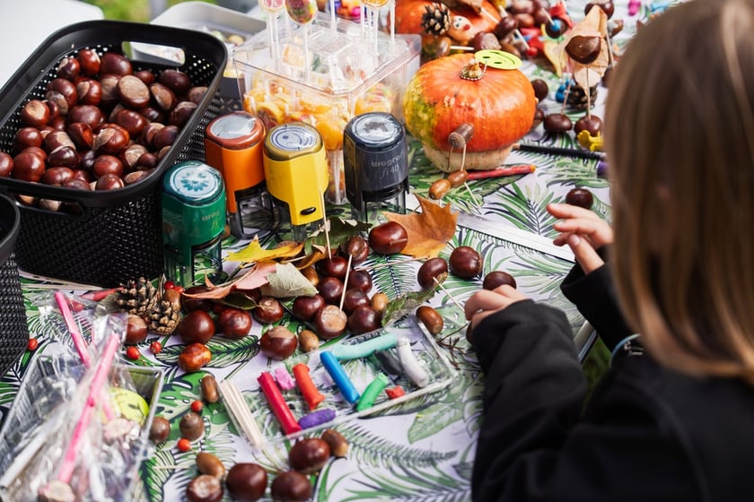 Międzypokoleniowy piknik ekologiczny w Ogrodzie Staromiejskim we Wrocławiu