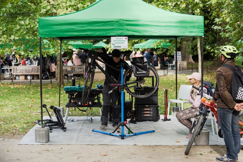 Międzypokoleniowy piknik ekologiczny w Ogrodzie Staromiejskim we Wrocławiu