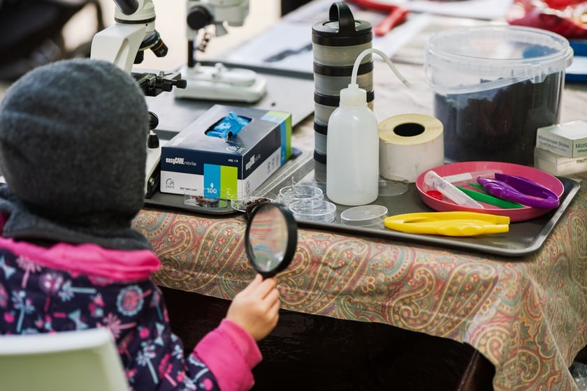Międzypokoleniowy piknik ekologiczny w Ogrodzie Staromiejskim we Wrocławiu