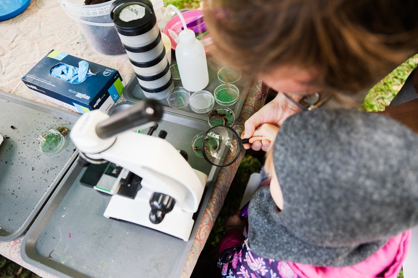 Międzypokoleniowy piknik ekologiczny w Ogrodzie Staromiejskim we Wrocławiu