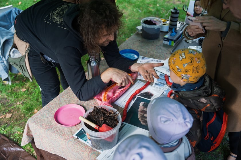 Międzypokoleniowy piknik ekologiczny w Ogrodzie Staromiejskim we Wrocławiu
