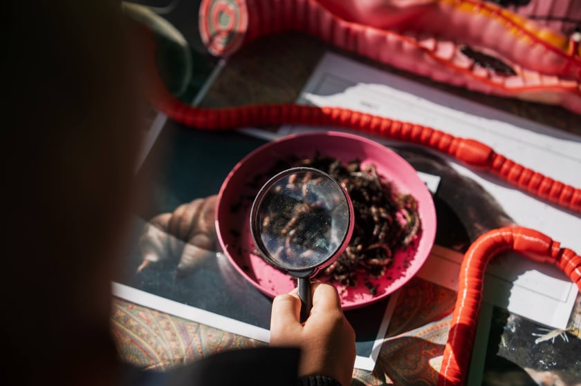 Międzypokoleniowy piknik ekologiczny w Ogrodzie Staromiejskim we Wrocławiu