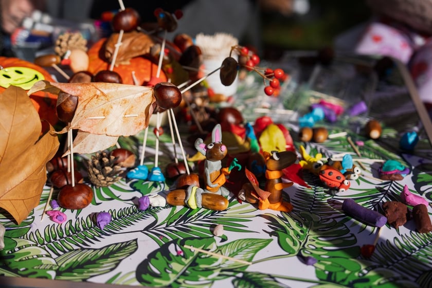 Międzypokoleniowy piknik ekologiczny w Ogrodzie Staromiejskim we Wrocławiu