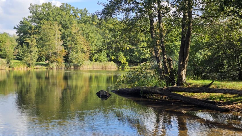 Park Średzki po metamorfozie