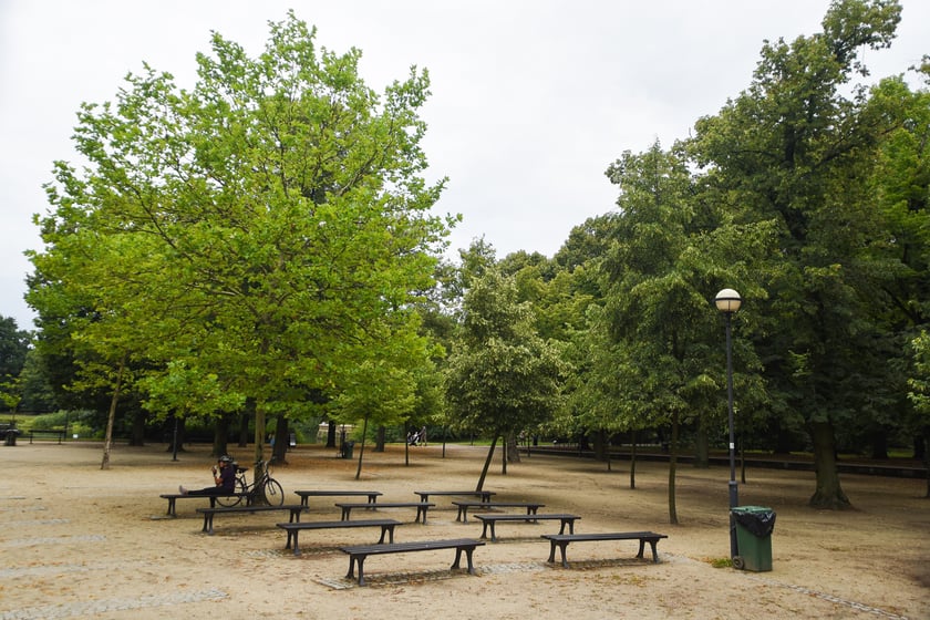 W parku Południowym, lipiec 2025