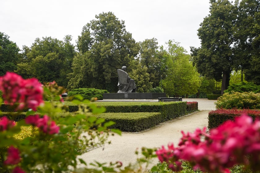 W parku Południowym, lipiec 2025