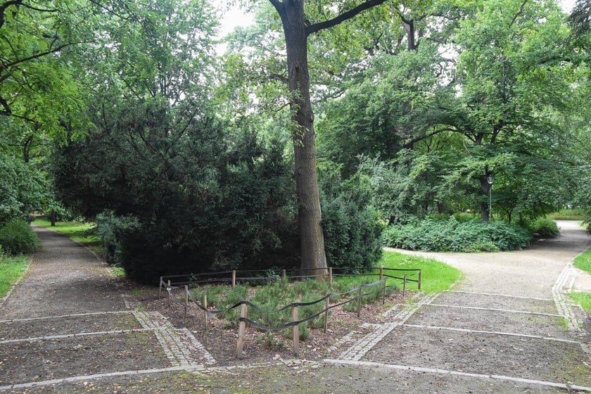 W parku Południowym, lipiec 2025