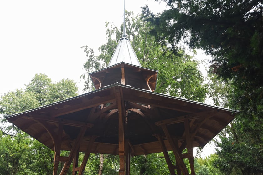 W parku Południowym, lipiec 2025