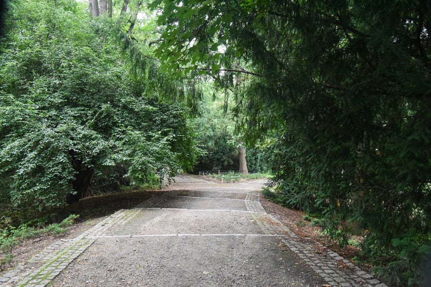 W parku Południowym, lipiec 2025