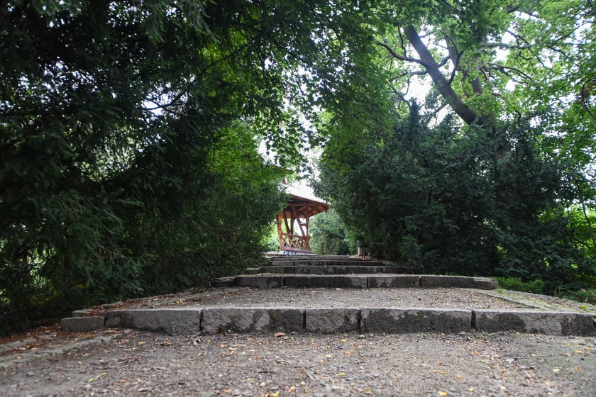 W parku Południowym, lipiec 2025