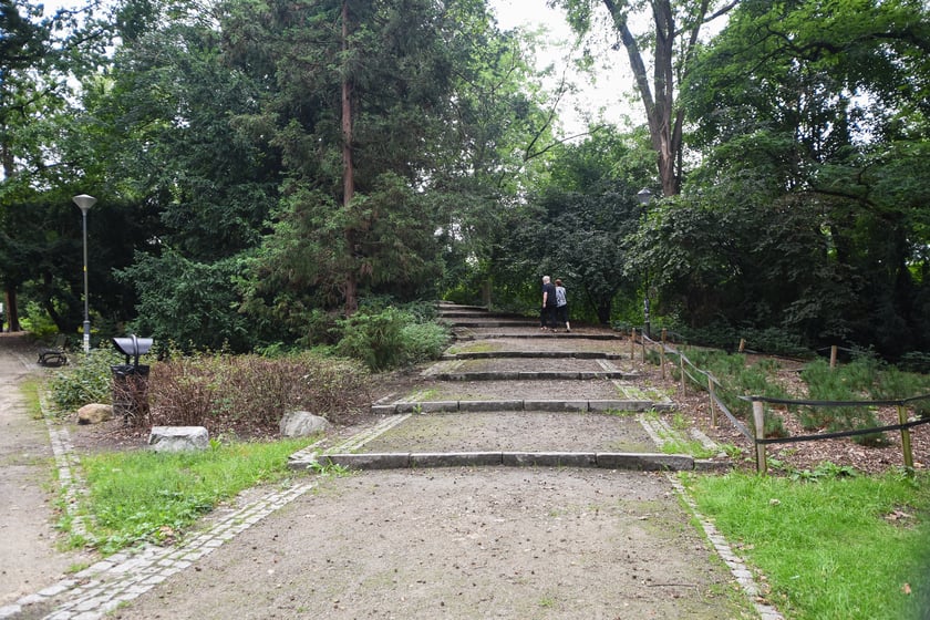 W parku Południowym, lipiec 2025