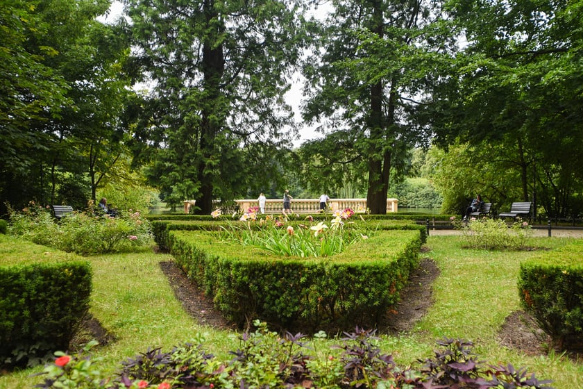 W parku Południowym, lipiec 2025