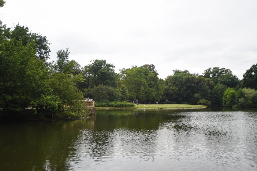 W parku Południowym, lipiec 2025