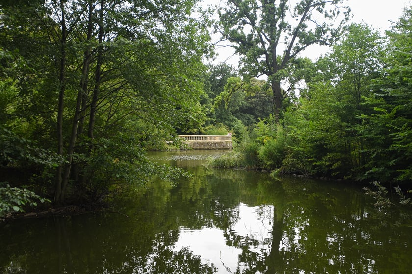 W parku Południowym, lipiec 2025