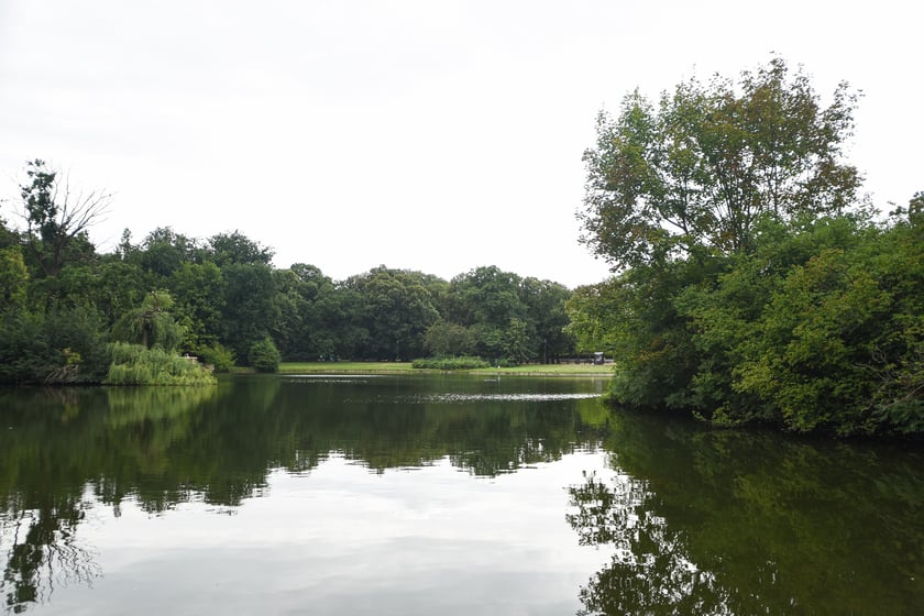 W parku Południowym, lipiec 2025