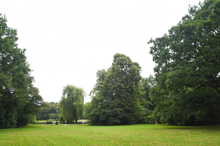 W parku Południowym, lipiec 2025