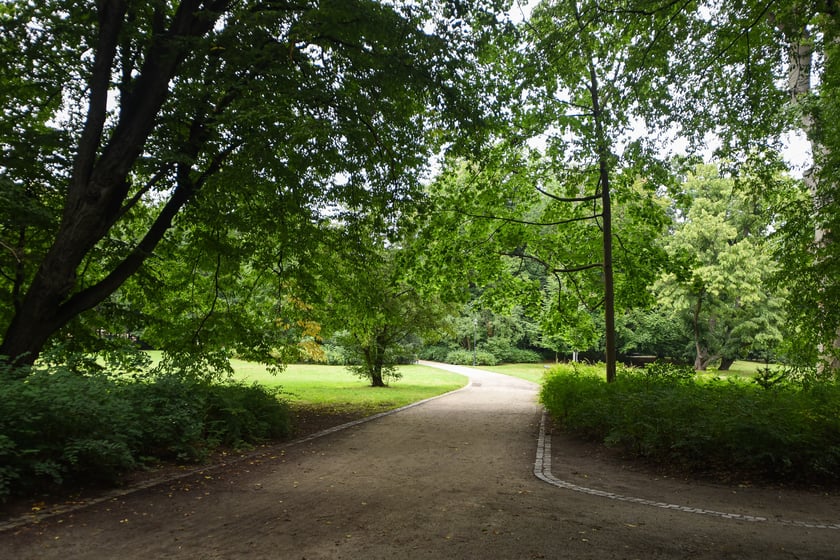 W parku Południowym, lipiec 2025