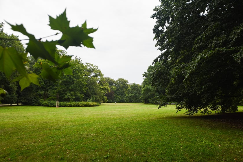 W parku Południowym, lipiec 2025