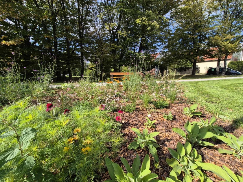 Skwer między ulicami Żernicką a Objazdową na osiedlu Żerniki we Wrocławiu