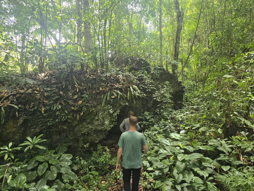 Jakub Leśniewicz i Bartek Leśniewicz liczyli wyraki i lotokoty w dżungli na Filipinach