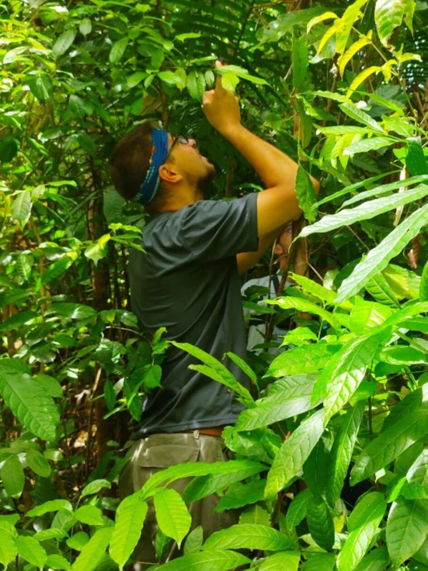 Jakub Leśniewicz i Bartek Leśniewicz liczyli wyraki i lotokoty w dżungli na Filipinach