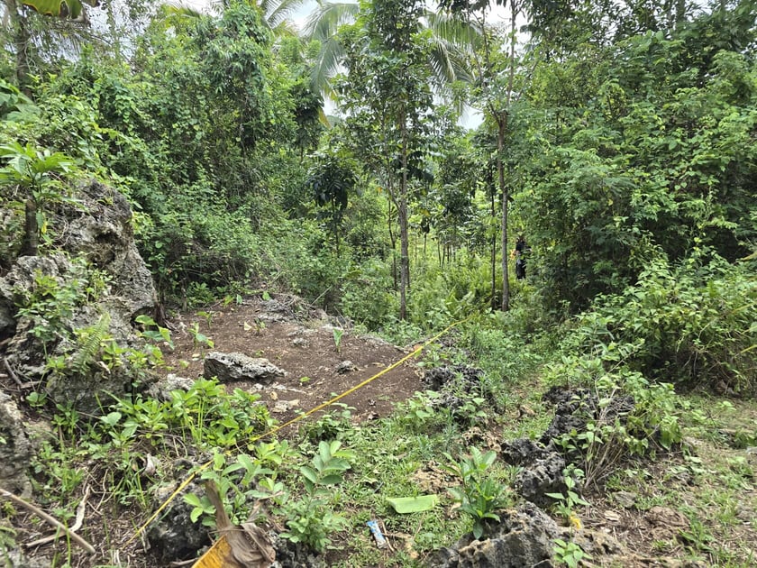 Jakub Leśniewicz i Bartek Leśniewicz liczyli wyraki i lotokoty w dżungli na Filipinach