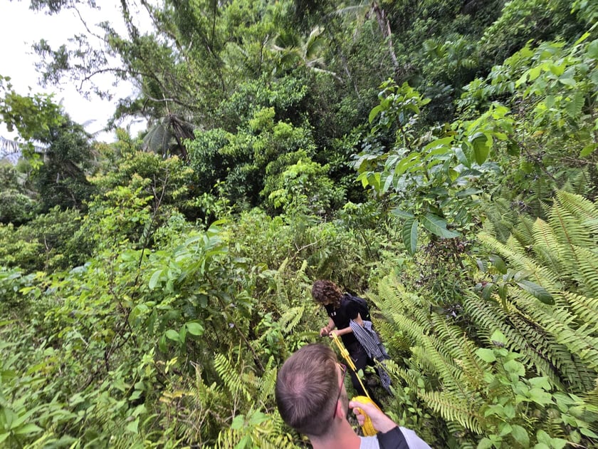 Jakub Leśniewicz i Bartek Leśniewicz liczyli wyraki i lotokoty w dżungli na Filipinach