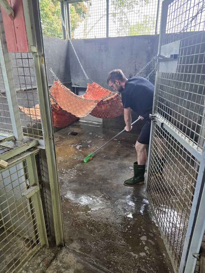 Jakub Leśniewicz i Bartek Leśniewicz liczyli wyraki i lotokoty w dżungli na Filipinach