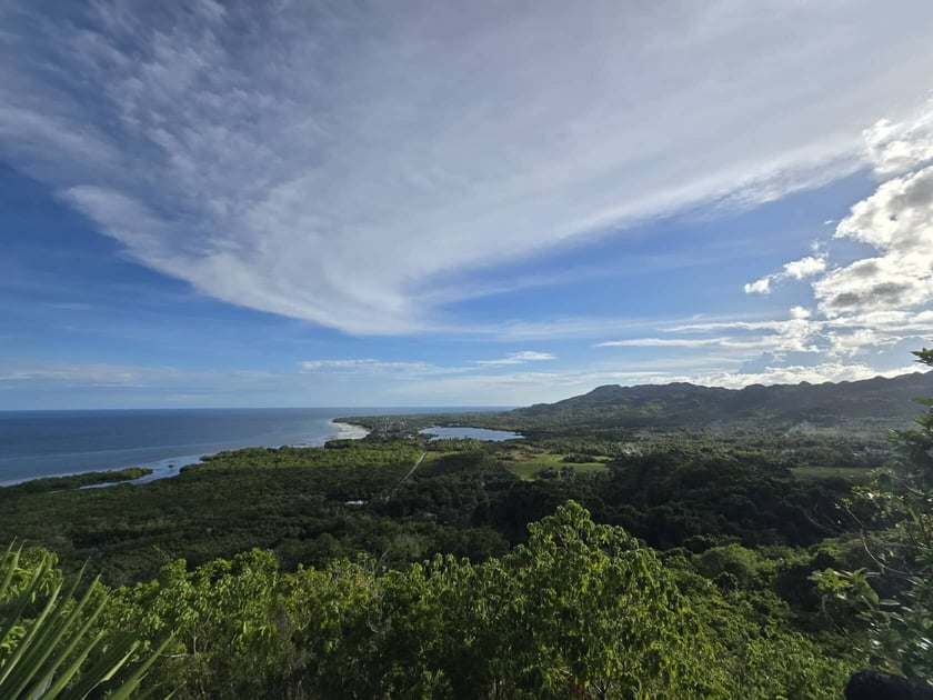 Jakub Leśniewicz i Bartek Leśniewicz liczyli wyraki i lotokoty w dżungli na Filipinach