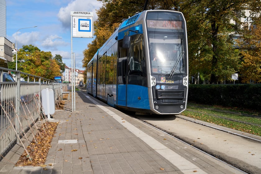 Sadzonki winobluszczu na przystanku tramwajowym przy skrzyżowaniu ulic Powstańców Śląskich i Jastrzębiej.