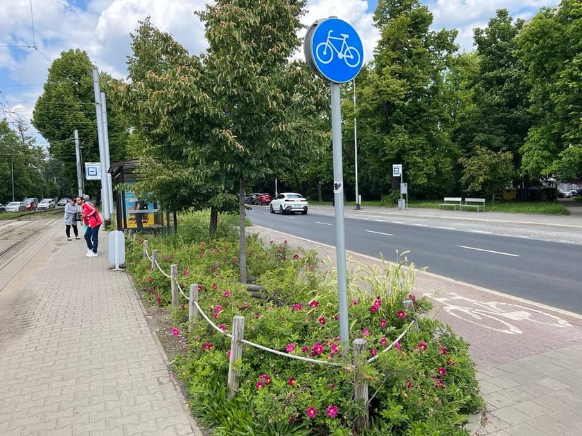 Zieleń na wrocławskich przystankach.