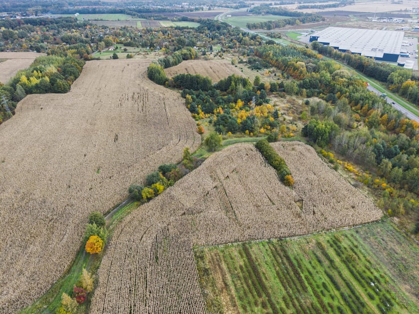 Teren przyszłego parku Wojnowskiego, widok z drona.