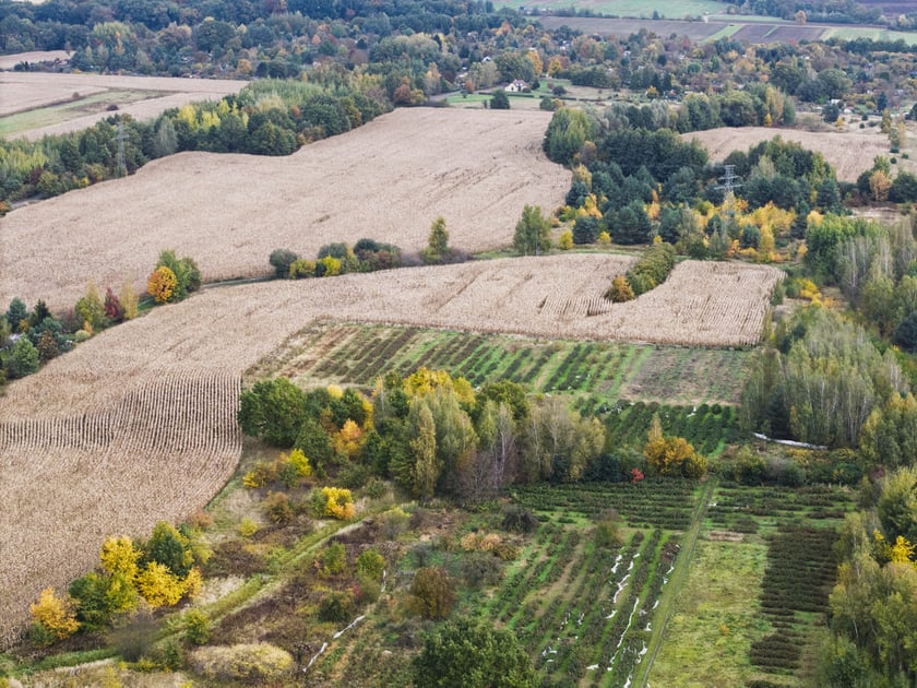 Teren przyszłego parku Wojnowskiego, widok z drona.