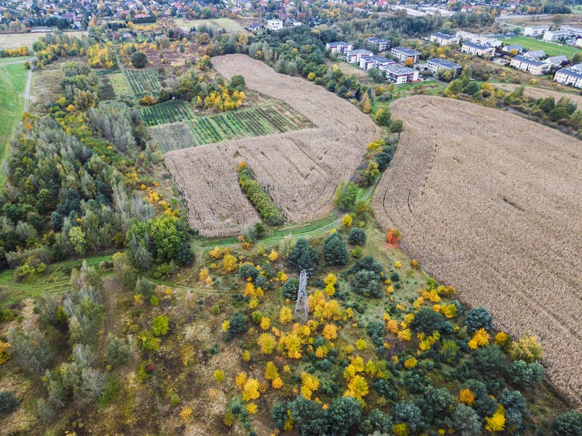 Teren przyszłego parku Wojnowskiego, widok z drona.